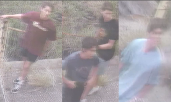 suspects suspects