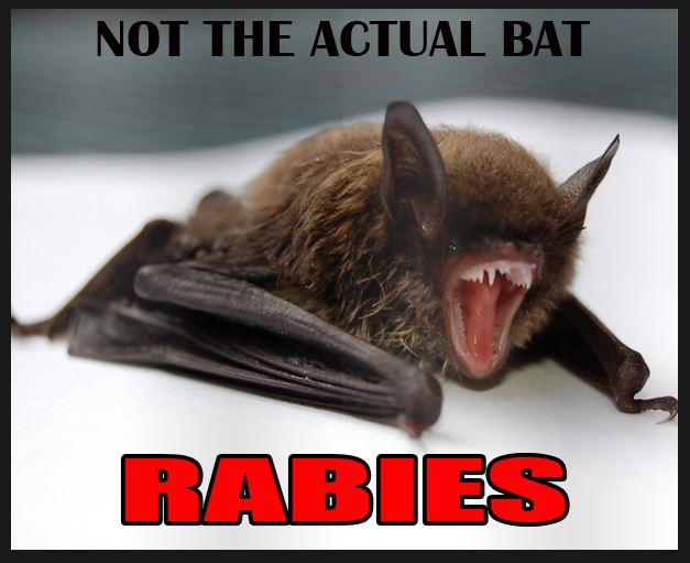 Angry Bat