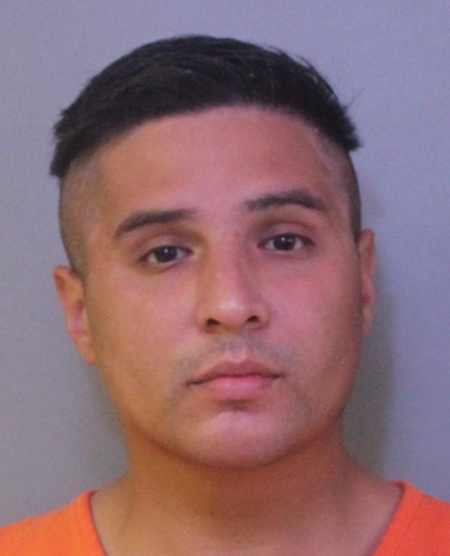 Ojeda